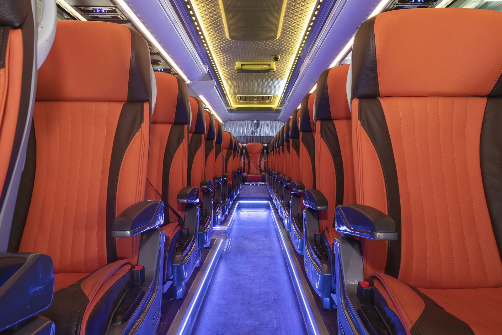 Luxury Coach, cabin